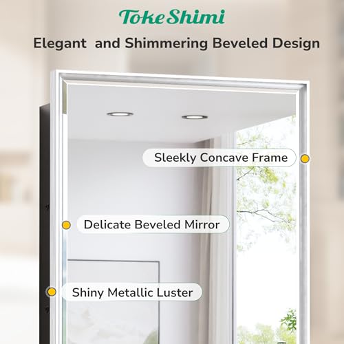 TokeShimi 48x30 Recessed Medicine Cabinet with Mirror Beveled, Silver Medicine Cabinet Mirrored Aluminum, Surface Mounted Metal Bathroom Vanity Mirror with Storage