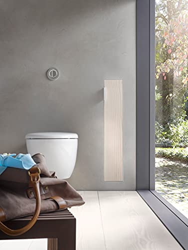Emco Asis Plus 975611001 Flush-Mounted Toilet Roll Holder Aluminium Frame/Right Door Hinge
