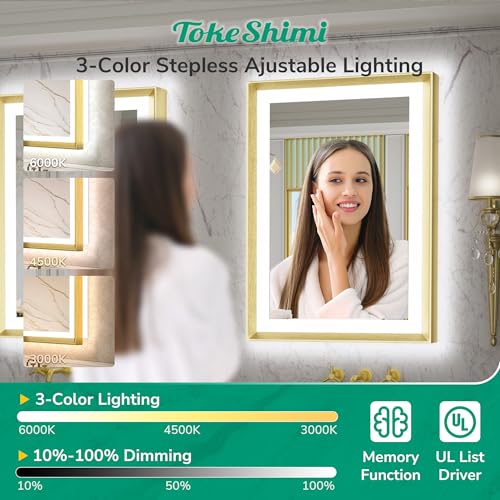 TokeShimi 48x36 Inch Light up Bathroom Mirror for Vanity with Backlit and Frontlit Gold Aluminum Rectangle Frame Beveled Edge Tricolors Stepless Dimmable Anti-Fog Memory Function for Wall Decor