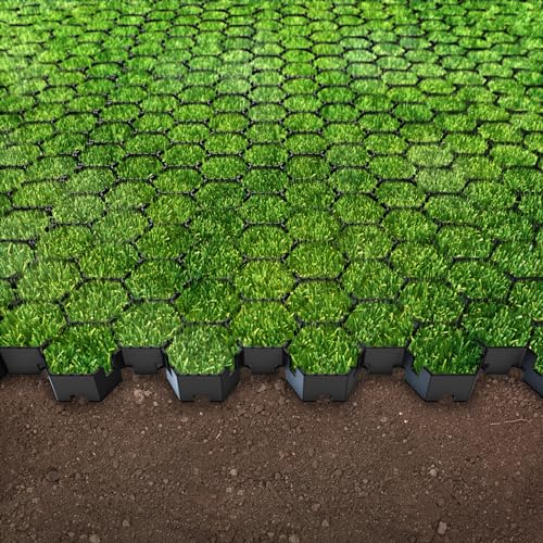 Standartpark Vodaland Permeable Pavers - HexPave Grass & Gravel Permeable Paver System - 100% Recycled PPE Plastic Pavers, Handles 27,000 lbs, 1