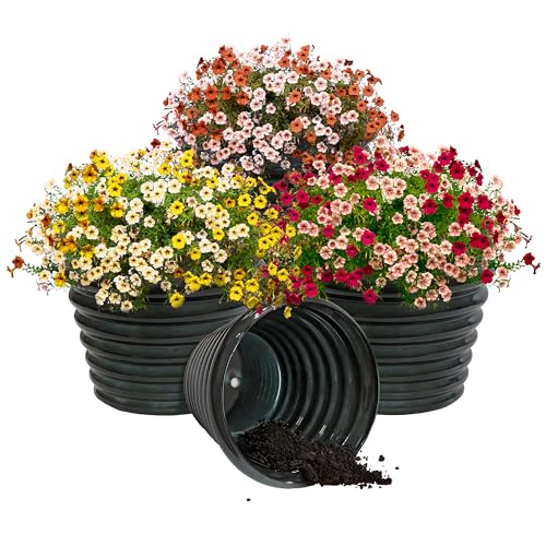 Sunnydaze Molly Pots: A Worthy Upgrade? Verdict After 4 Weeks