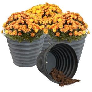 Sunnydaze Molly Pots: A Stylish Upgrade After 6 Months