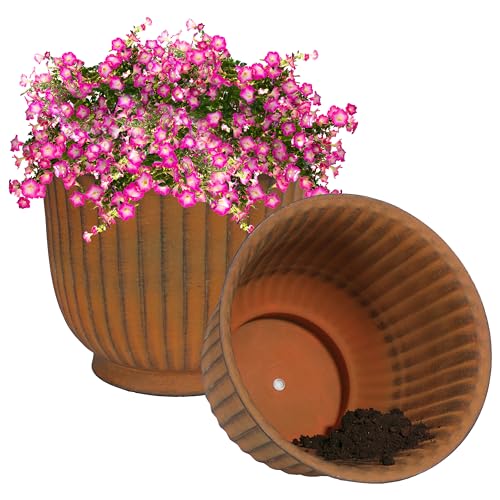 Sunnydaze Carlotta Pots: Why They Stand Out in 2024