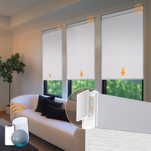Featured image for The 5 Best Motorized Window Blinds to Automate Your Home