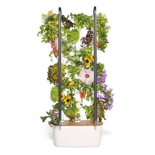 Gardyn Home 4 Vertical Hydroponics Growing System Kit - 30 Non-GMO Plants, Herbs, Vegetables - Smart Tower Garden Hydroponic Herb Garden Planter Indoor Kit - Indoor Gardening System w/LED Grow Lights - Best Grow tower