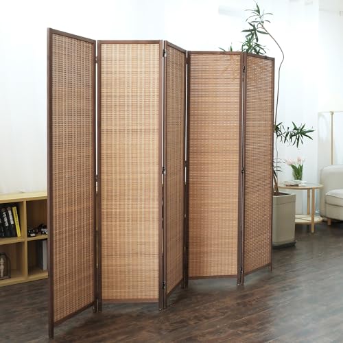 Featured image for 5 Room Dividers & Screens That Will Transform Your Space